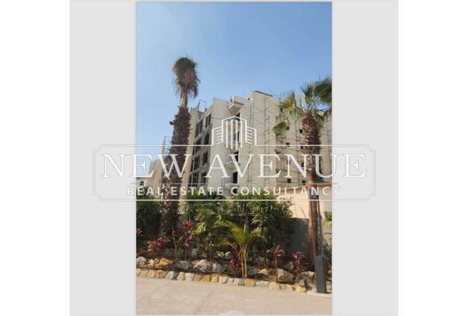 8318543 - Property Image 2