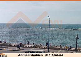 Apartment - 3 bedrooms - 2 bathrooms for للبيع in El Mandara - Hay Than El Montazah - Alexandria