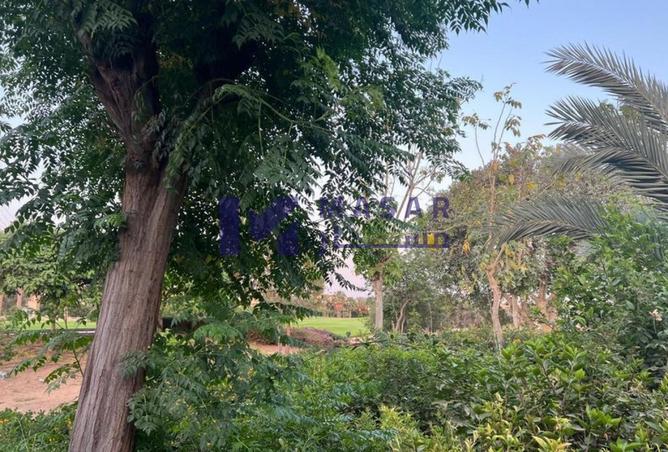 8061679 - صورة العقار 2