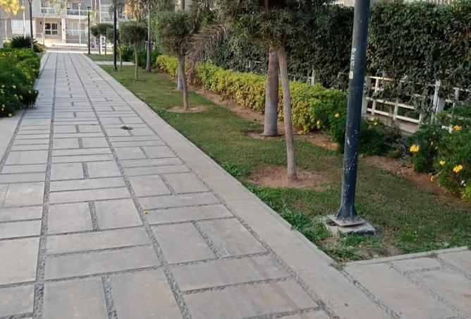 8503906 - صورة العقار 3