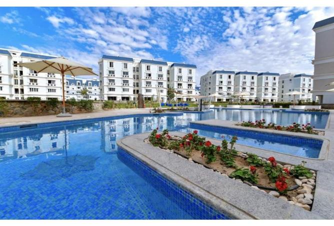 8135841 - Property Image 3