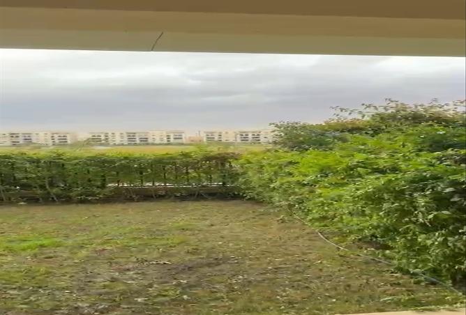7989447 - Property Image 3