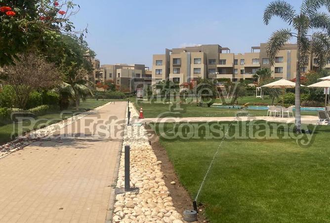 8233418 - Property Image 3