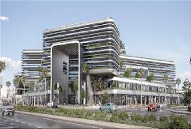 7972436 - Property Image 2