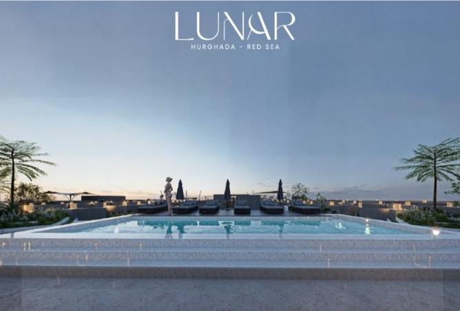 8251679 - Property Image 3