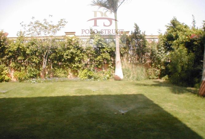 7935841 - صورة العقار 3