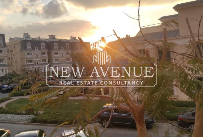 8314866 - Property Image 3