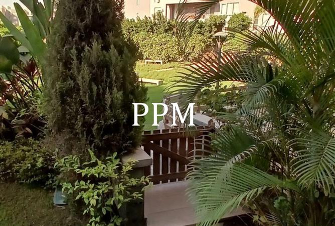 8216379 - Property Image 2