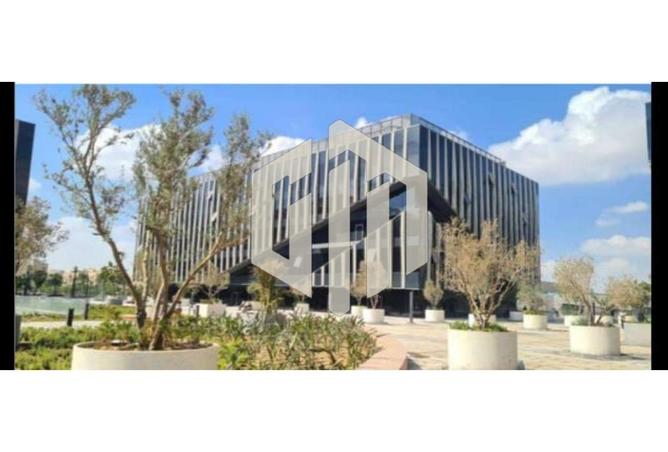 8386797 - Property Image 2