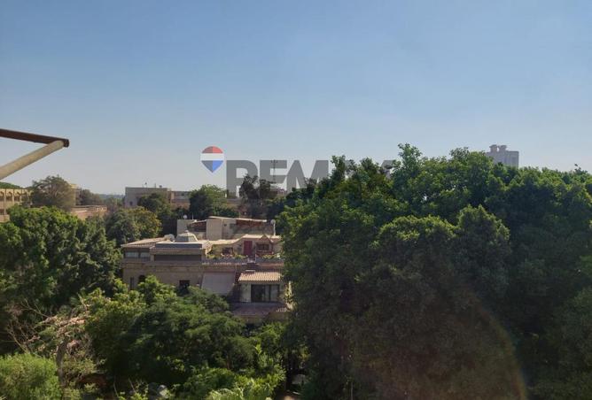 7962256 - صورة العقار 3