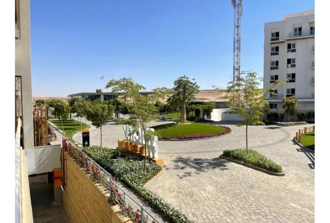 8163022 - صورة العقار 3