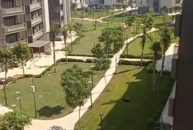 8218431 - الصورة الرئيسية للعقار