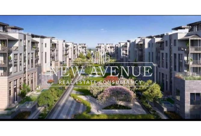 8076794 - Property Image 2