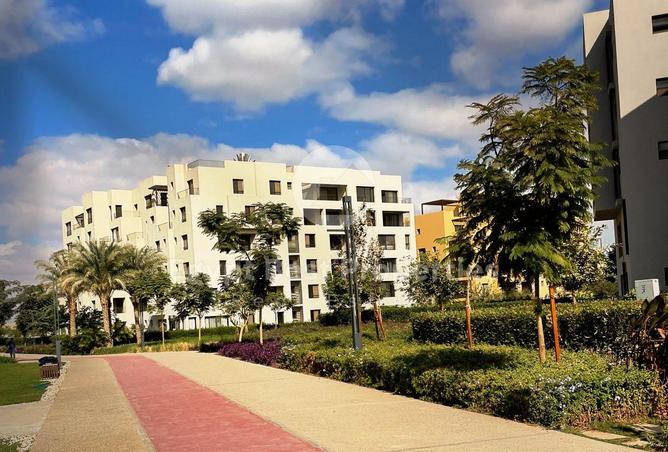 7897671 - صورة العقار 2