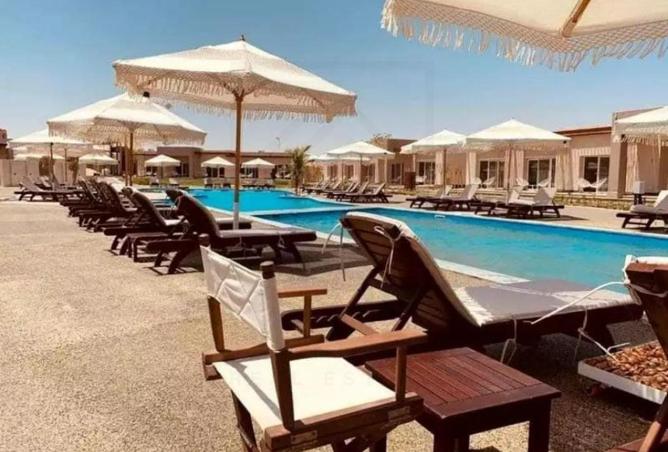 8331574 - Property Image 2