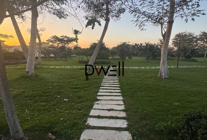 7765163 - صورة العقار 3