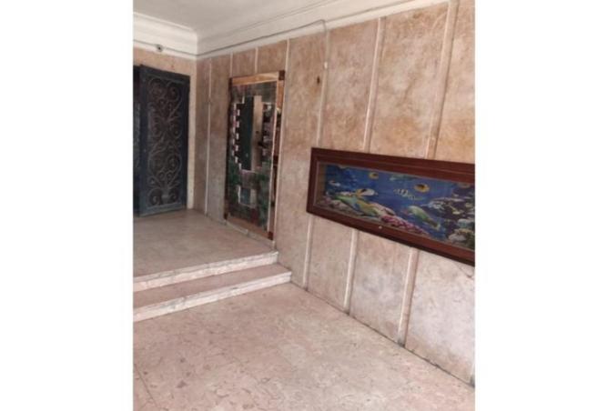 8136134 - Property Image 2