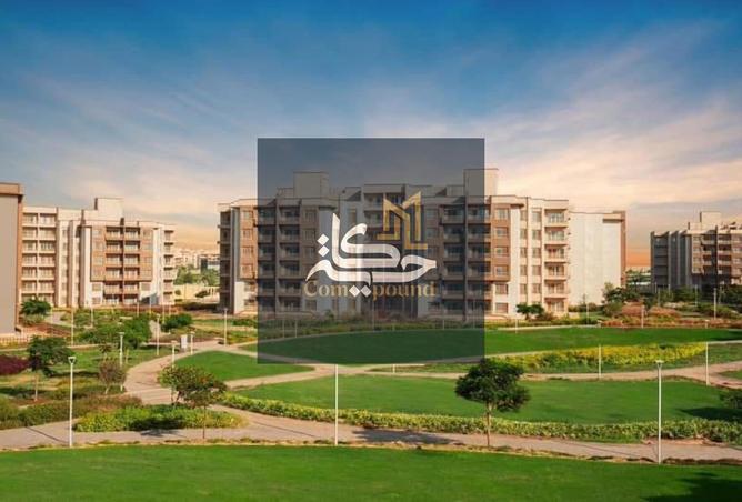 8448808 - Property Image 3