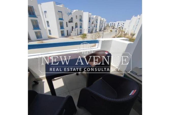 8196417 - Property Image 3