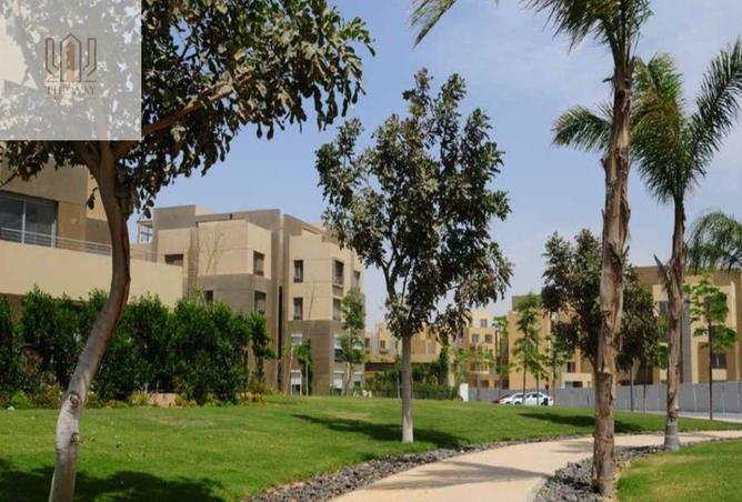 8003911 - الصورة الرئيسية للعقار