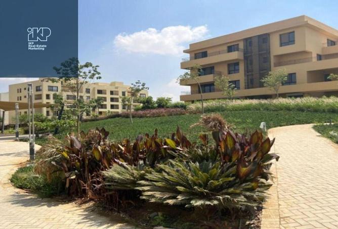 8203390 - صورة العقار 2