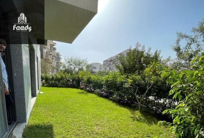 8393247 - الصورة الرئيسية للعقار