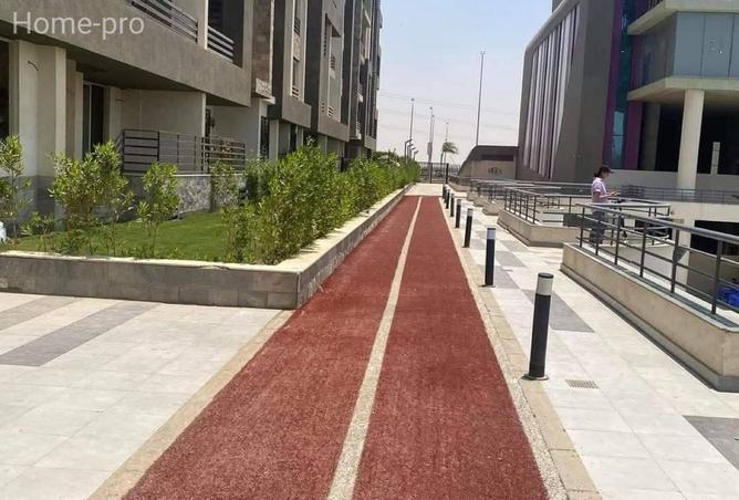 8459840 - Property Image 3