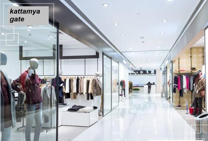 8472009 - صورة العقار 3