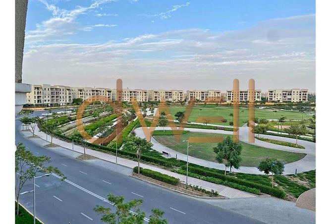 8432170 - Property Image 3