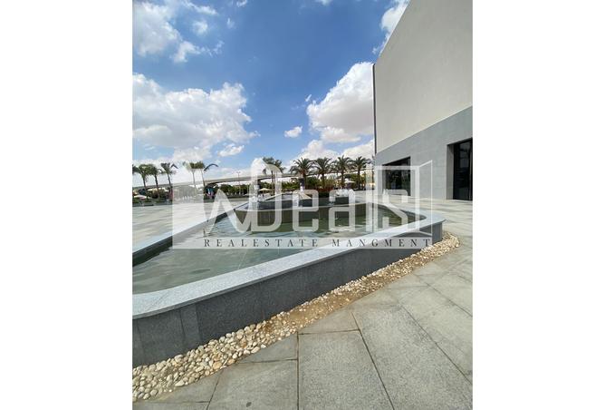 7955025 - Property Image 3