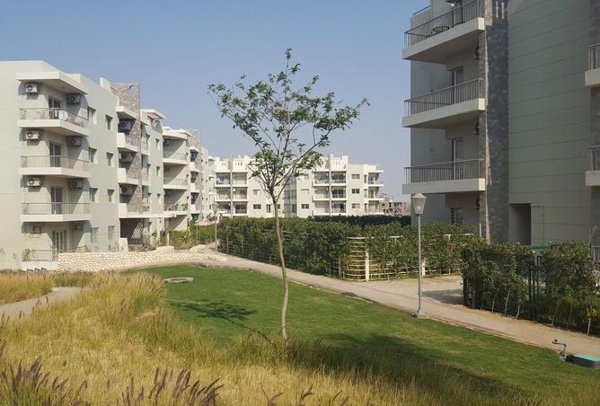 8354289 - الصورة الرئيسية للعقار