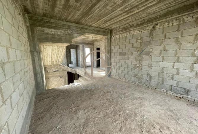 8103861 - Property Image 3