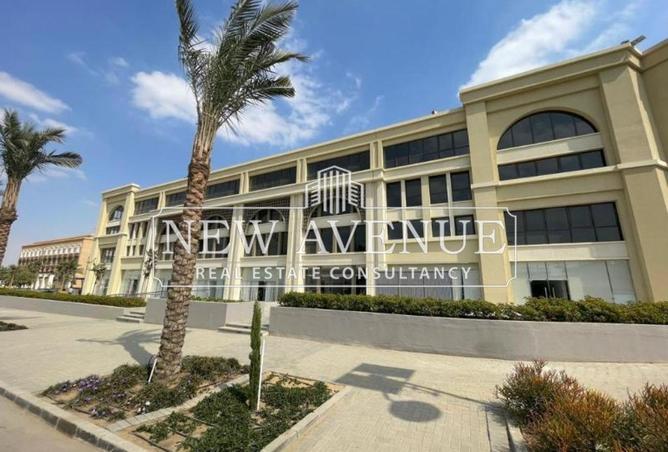 8195166 - صورة العقار 3