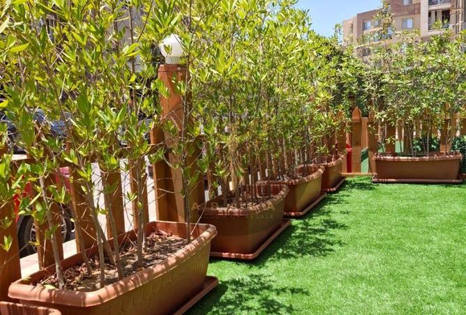 8161442 - Property Image 2