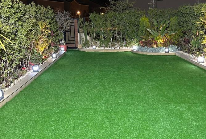 8018516 - صورة العقار 3