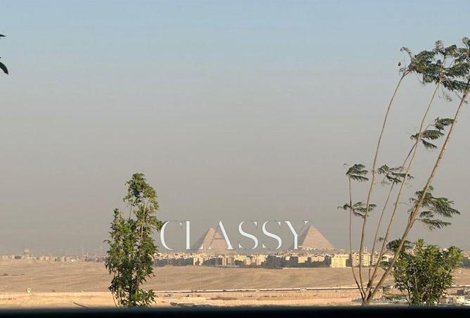8028463 - صورة العقار 3
