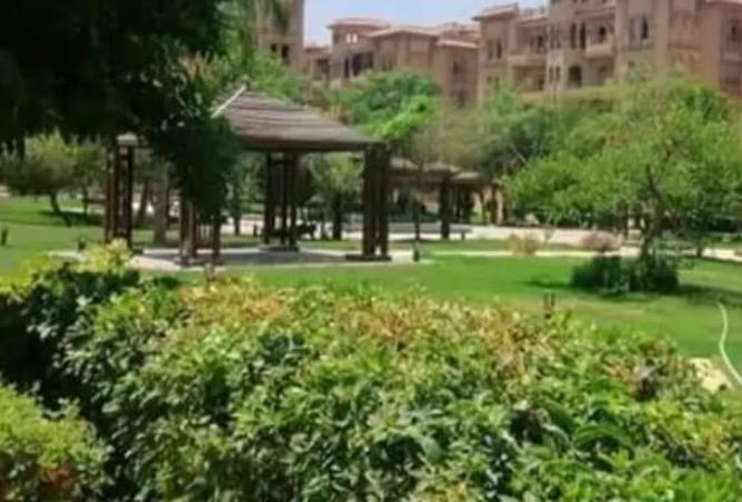 8126178 - صورة العقار 3