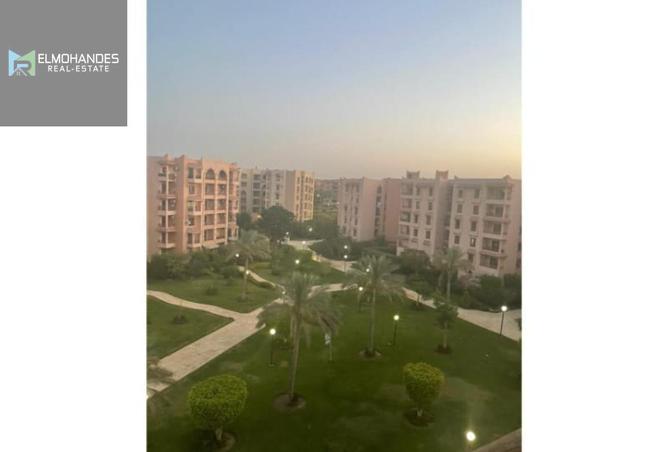 8371284 - Property Image 2