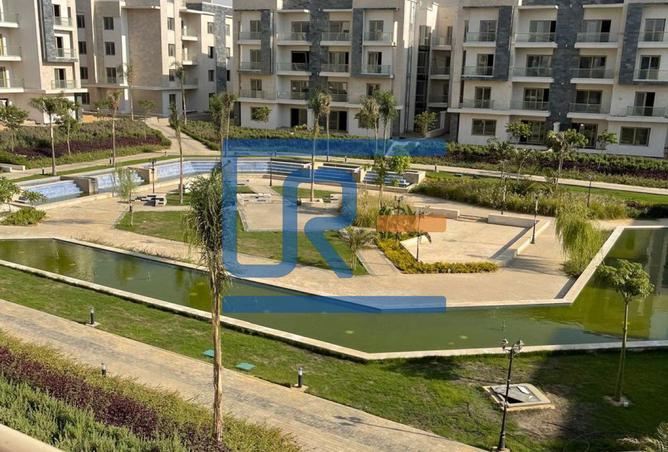 8274335 - Property Image 3