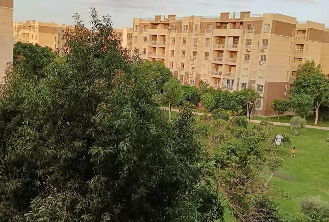 7951753 - الصورة الرئيسية للعقار