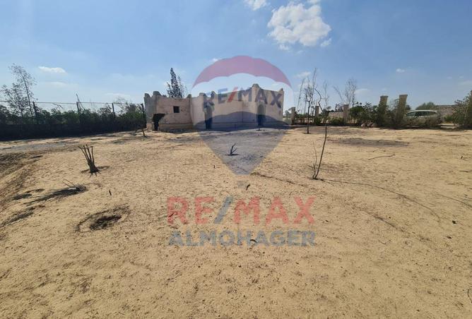 8245592 - Property Image 3