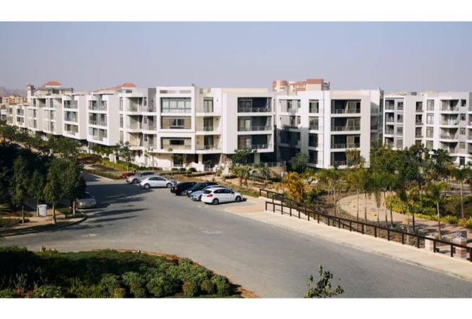 8132580 - Property Image 3