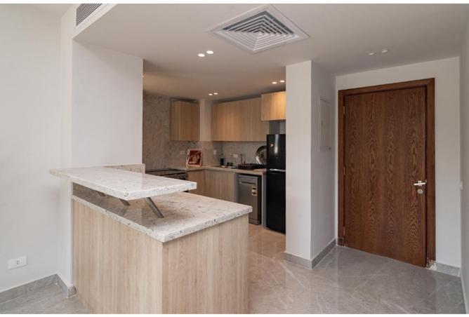 8380571 - Property Image 2