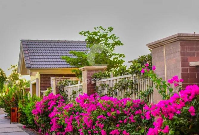 8419275 - Property Image 2