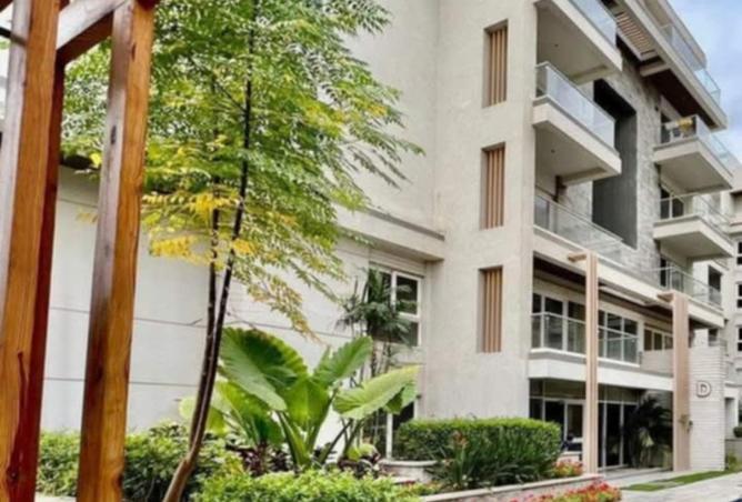 8485118 - Property Image 3