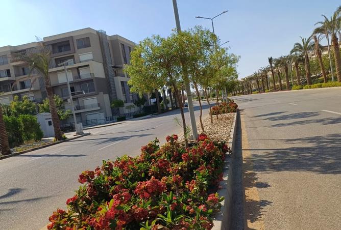 8343295 - Property Image 3