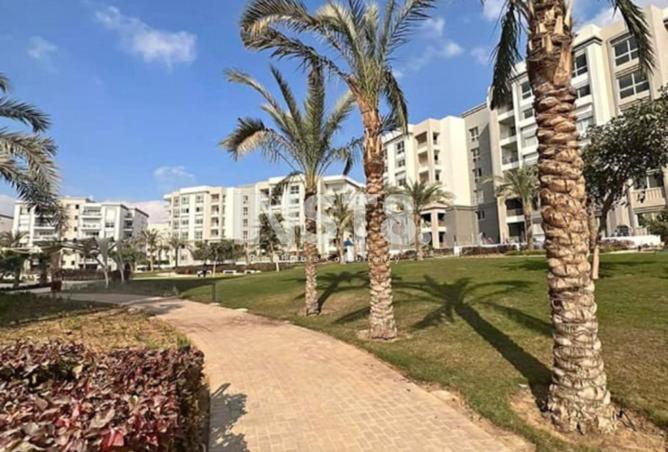 8165040 - صورة العقار 3