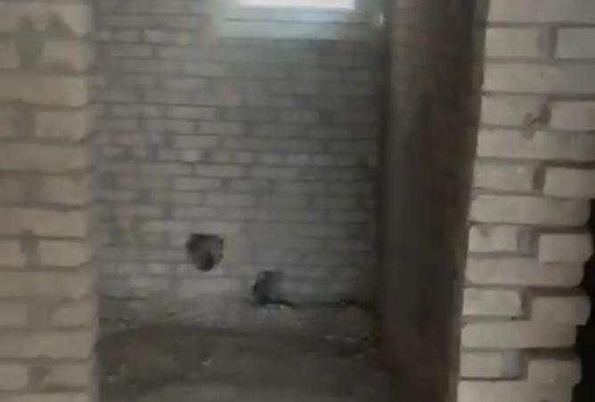 8416800 - صورة العقار 3