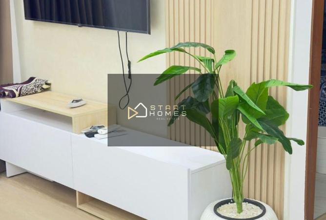 8096419 - Property Image 2