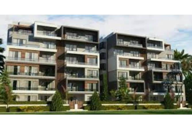 8131929 - Property Image 3